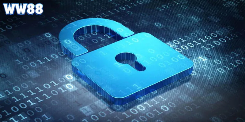 Các chế tài xử lý khi vi phạm điều khoản chính sách