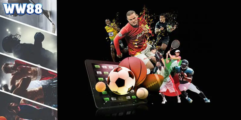 Giới thiệu về trang chuyên mục thể thao WW88