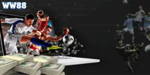 Nhà cái thể thao uy tín