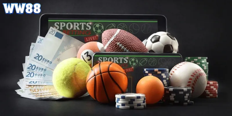 Tổng hợp khuyến mãi thể thao nổi bật nhất